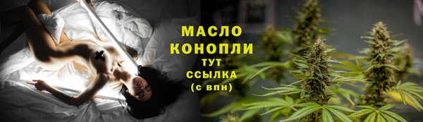 дмт Абаза