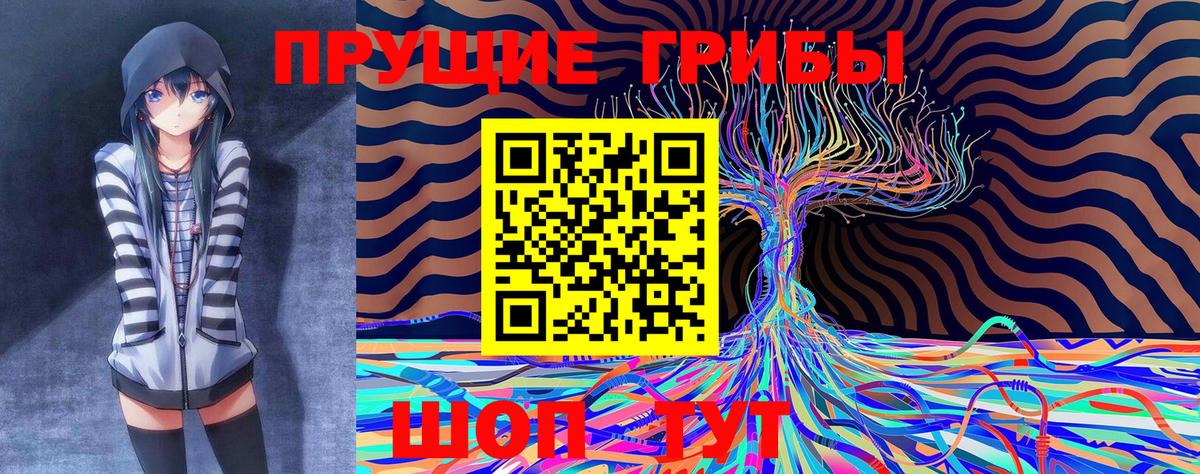 продажа наркотиков  Галлюциногенные грибы Psilocybe  Вход с VPN  Галлюциногенные грибы мухоморы  Курчатов 